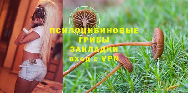 ГАЛЛЮЦИНОГЕННЫЕ ГРИБЫ Белоозёрский