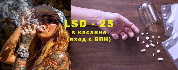 ГАЛЛЮЦИНОГЕННЫЕ ГРИБЫ Белоозёрский