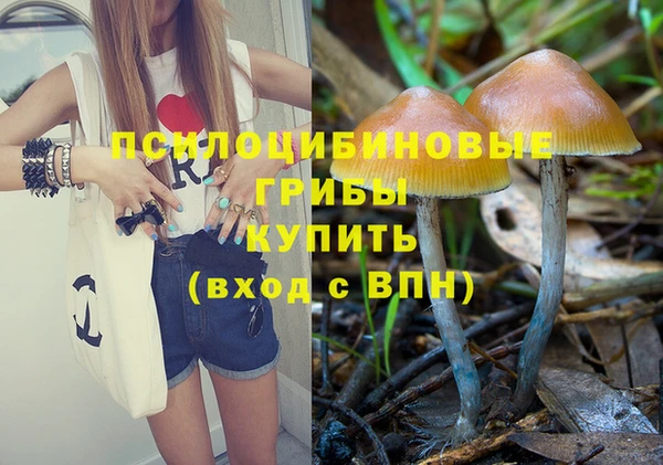 мескалин Белокуриха