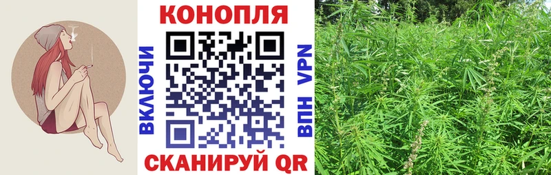 Купить где  Гаврилов Посад  МАРИХУАНА THC 21% 